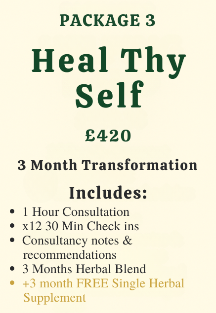'Heal Thy Self' 3 Month Transformation